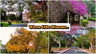 When IISc Blooms  IISc Bangalore  Smruti Diary [upl. by Ahgiel970]