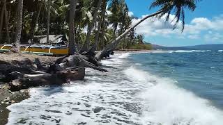 Beach in Jagna Bohol meditation video [upl. by Canter]