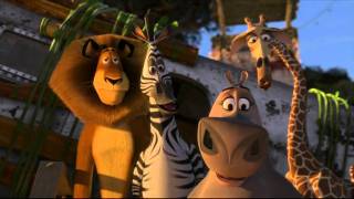 The Ultimate quot Madagascar 2 quot movie recap  Madagascar Escape 2 Africa recap cartoon [upl. by Leasi]