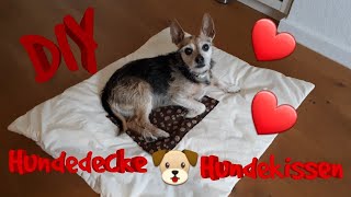 DIY Hundekissen DIY Hundedecke selber machen Hundekissen nähen Hundedecke nähen [upl. by Cumings]