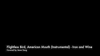 Flightless Bird American Mouth by Iron amp Wine Instrumental cover  Jesse Song [upl. by Assyla]