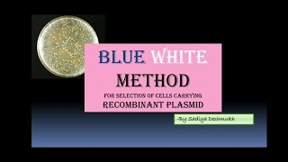 Blue White Screening For Selection of Recombinants  Identification of Transformed Cells  Hindi [upl. by Merdith658]