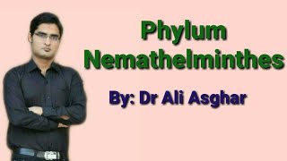 Phylum Nemathelminthes Round Worm in HindiUrdu [upl. by Silma]