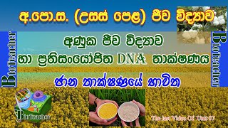 022 AL Biology Sinhala Molecular Biology Applications of gene technology [upl. by Annavaig]