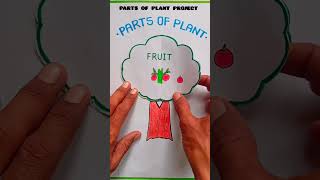 parts of plant  parts of tree partsofplants tree partsoftree shorts viralvideo trending [upl. by Luana]