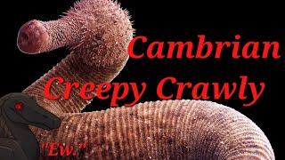 Ottoia The Cambrian Creepy Crawly [upl. by Isaiah]