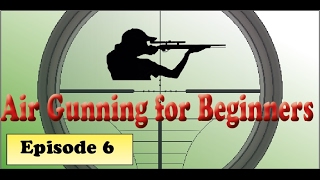 Airgunning for Beginners  Ultimate Guide to Hold Over  Under Windage and Cant [upl. by Heywood]