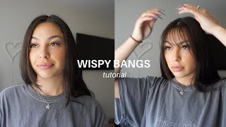 HOW I CUT WISPY BANGS AT HOME  Lauren Kubiske [upl. by Ahmar]