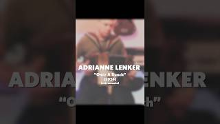 Adrianne Lenker quotOnce A Bunchquot 2024 acoustic instrumental cover [upl. by Atirak211]