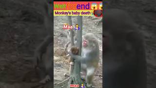 Monkey baby death 😭😭😭😰 [upl. by Xeno]