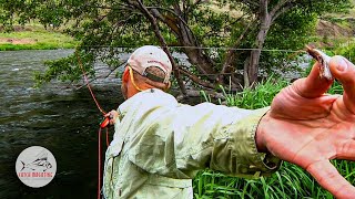 Fly Fishing Deschutes River Salmon Flies by Todd Moen [upl. by Asirret722]