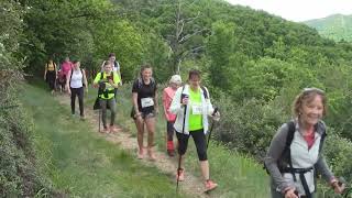 Trail de La Chaussée des Géants  11ème éd  1er juin 2024 [upl. by Bekelja10]