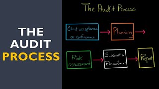 The Audit Process [upl. by Anilec]