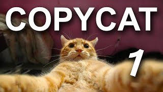 COPYCAT 1  PAROLE DE CHAT [upl. by Esiuole180]