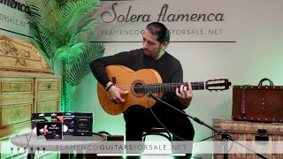 Francisco Barba 1976 flamenco guitar for sale played by José Andrés Cortés [upl. by Verne]