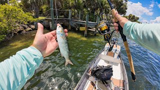 Fishing Florida Saltwater Residential Docks with Live Mullet [upl. by Nnyluqcaj]