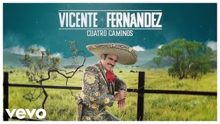 Vicente Fernández  Cuatro Caminos Video Lyrics [upl. by Suzy568]