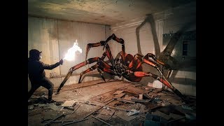 ODEITH  ANAMORPHIC  time lapse  huge Spider  Hollywood Style [upl. by Nagear]