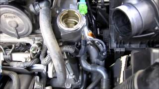 How to Replace Volkswagen Beetle Coolant Temp Sensor P3081 [upl. by Haldan]