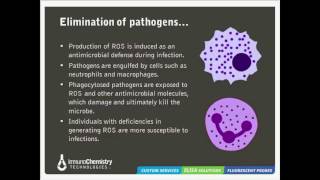 Solutions to Detect Oxidative Stress [upl. by Mook891]