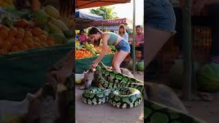 girl rescues hyena at fruit market [upl. by Olwena]