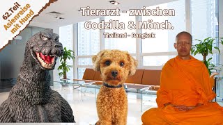 TierarztWarteraum zwischen Godzilla amp Mönch ● Thailand ● Bangkok ● Vlog 83 [upl. by Figge]