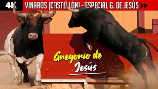 ⚡️ ACONTECIMIENTO IMPACTANTE ⚡️ Toros en VINARÒS Especial GREGORIO DE JESÚS con sus mejores reses [upl. by Maffei616]