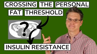 Causes of Insulin Resistance The Personal Fat Threshold [upl. by Naz]