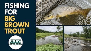 Fishing the local creek for BIG Brown Trout [upl. by Romulus]