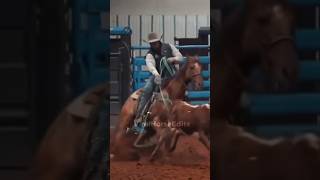 WESTERN ROPING EDIT🤠westernhorse velocityedit roping horse viralhorses [upl. by Latihs581]