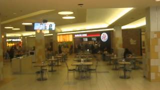 Otis escalators at Cherryvale mall food court in Rockford IL [upl. by Ganny]