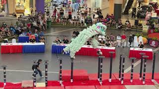 4K Shui Lian Gong 水莲宫 at MalaysiaChina Lion Dance Championship IOI Mall 20 Oct 2024 [upl. by Ylenats]