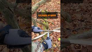 Whats the Best Bushcraft Skill for Wilderness Survival [upl. by Lekcar188]