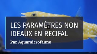 LES PARAMÈTRES NON IDÉAUX EN RÉCIFAL [upl. by Enreval]