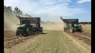 One year on a Peanut and Cotton farm [upl. by Ain]