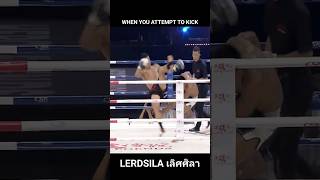 Lerdsila vs middle kicks muaythai martialarts fight kickboxing mma [upl. by Seftton904]