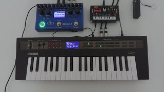 MinimalAmbient 04  Yamaha Reface DX  Korg NTS1  Mooer Ocean Machine [upl. by Florence597]