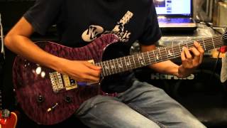 PRS SE Custom 24 30 anniversary [upl. by Hayifas]