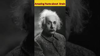 Interesting Facts About Human Brain facts interestingfacts shorts [upl. by Han]