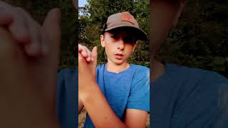 How to imitate a dove call [upl. by Noella]