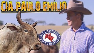 Especial Cia de Rodeio Paulo Emílio ║ Bipolar Agressivo Bandido 🐂 [upl. by Yblocaj]