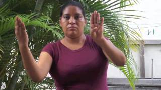 El Hogar Lesho Honduran Sign Language [upl. by Rubenstein]