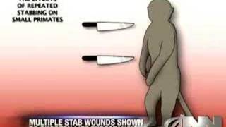 Multiple Stab Wounds May Be Harmful To Monkeys [upl. by Aleb]