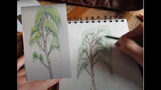 Dessiner un arbre en 10 min  bouleau pleureur [upl. by Thetis]