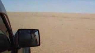 Mongolia Part III Chasing gazelle across the Gobi desert [upl. by Meehahs472]