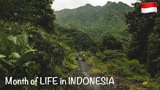 One month of LIFE in INDONESIA 🇮🇩⛰️🌊 [upl. by Kraft]