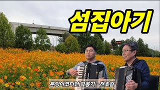 섬집아기동요 곽봉기ㆍ전호길 분당아코디언 [upl. by Nailuj]