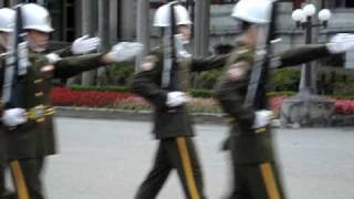 2010 0606 憲兵樂隊 總統府勤務 憲兵進行曲 [upl. by Trumann]