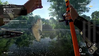 Fishing PlanetGrilled Carp 🐟 Best Spot by Low Time 🇺🇸 Neherrin River [upl. by Ainavi344]