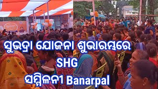 ସୁଭଦ୍ରା ଯୋଜନା ଶୁଭାରମ୍ଭରେ Banarpal Block SHG Convention Programme [upl. by Bakerman]